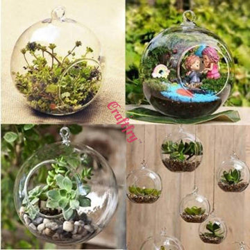 Hanging Glass Globe Plant Terrariums - Orbs for Air Plants, Tea Light Candle Holders, Succulents, Moss - Miniature Garden Planters for Home Decor Indoor (4, Small)